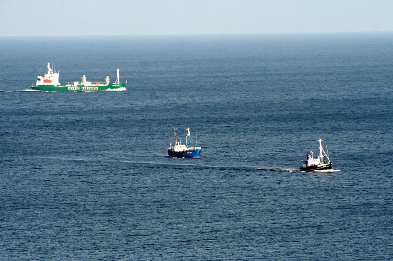 Killikus&reg; Fotographie